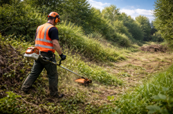 Ontgroenen verwilderd terrein